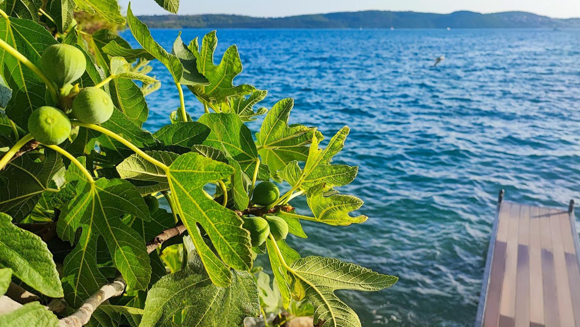 Villa Penava, Private Beach, Pool And 7Min To Trogir Buitenkant foto